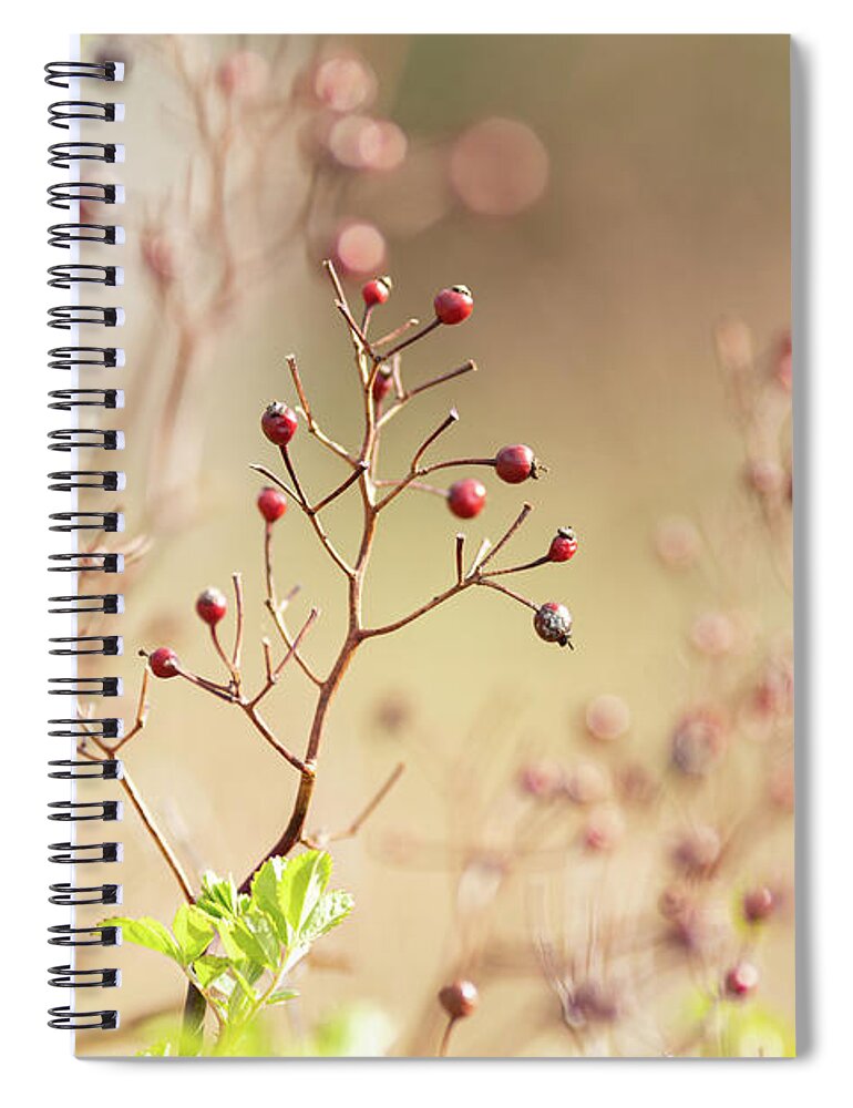 Spring Spiral Notebook featuring the photograph Spring Berries 2 by Amelia Pearn