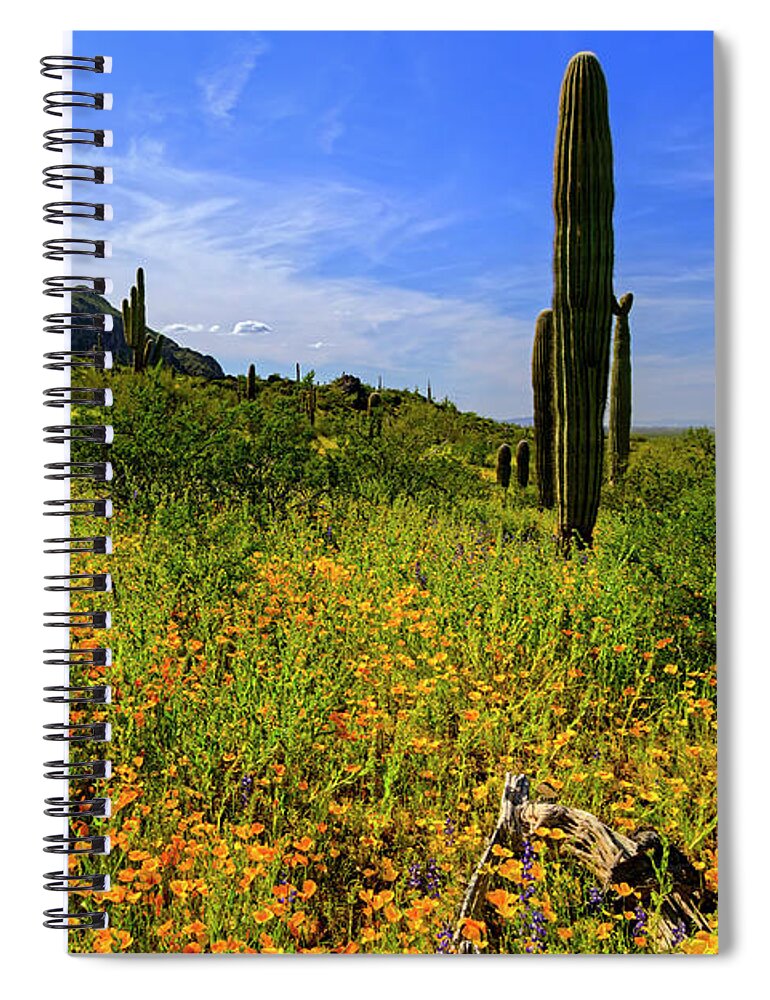 Blossoms Spiral Notebook featuring the photograph Spring Bliss 25058 by Mark Myhaver