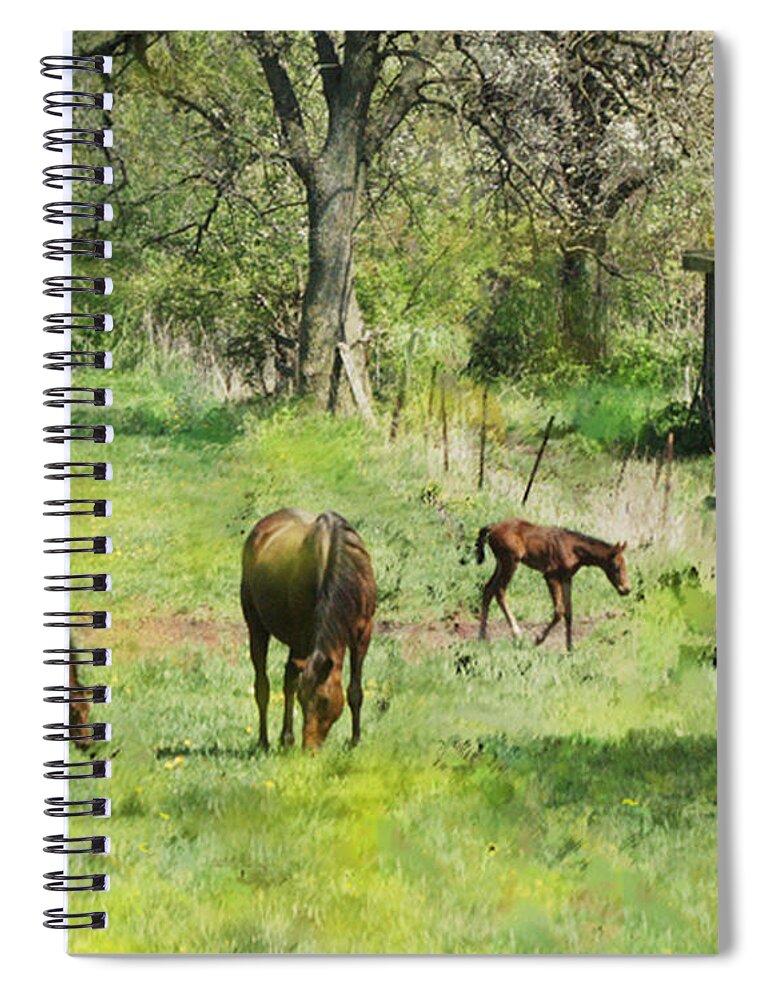 Spring Colts Spiral Notebook featuring the digital art Spring Colts by Studio B Prints