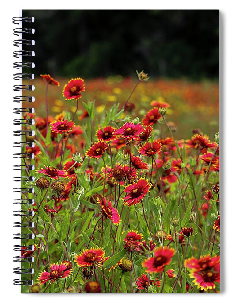 Landscape Spiral Notebook featuring the photograph Spring Field by Seth Betterly