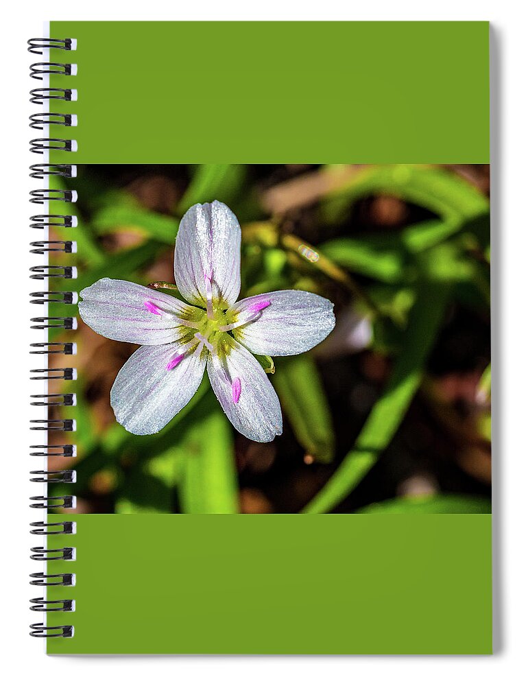 Closeup Spiral Notebook featuring the photograph Spring Flowers by Louis Dallara