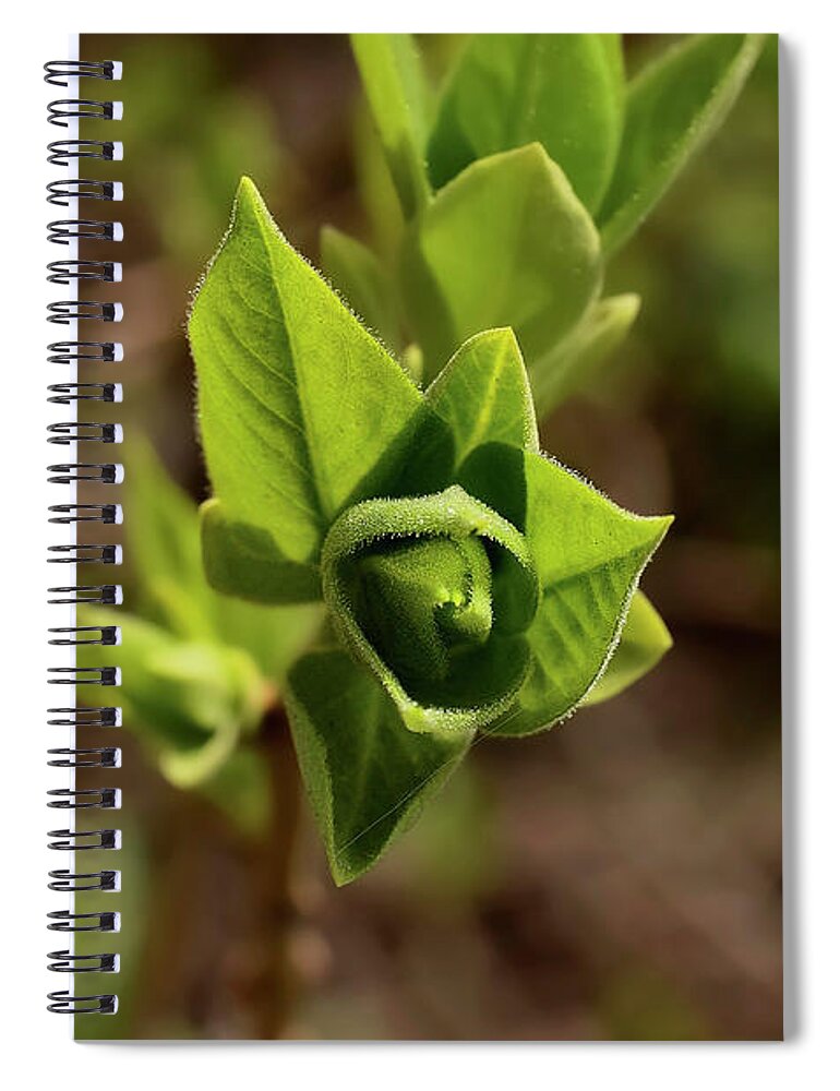 Spring Spiral Notebook featuring the photograph Spring foliage. by Sergei Fomichev