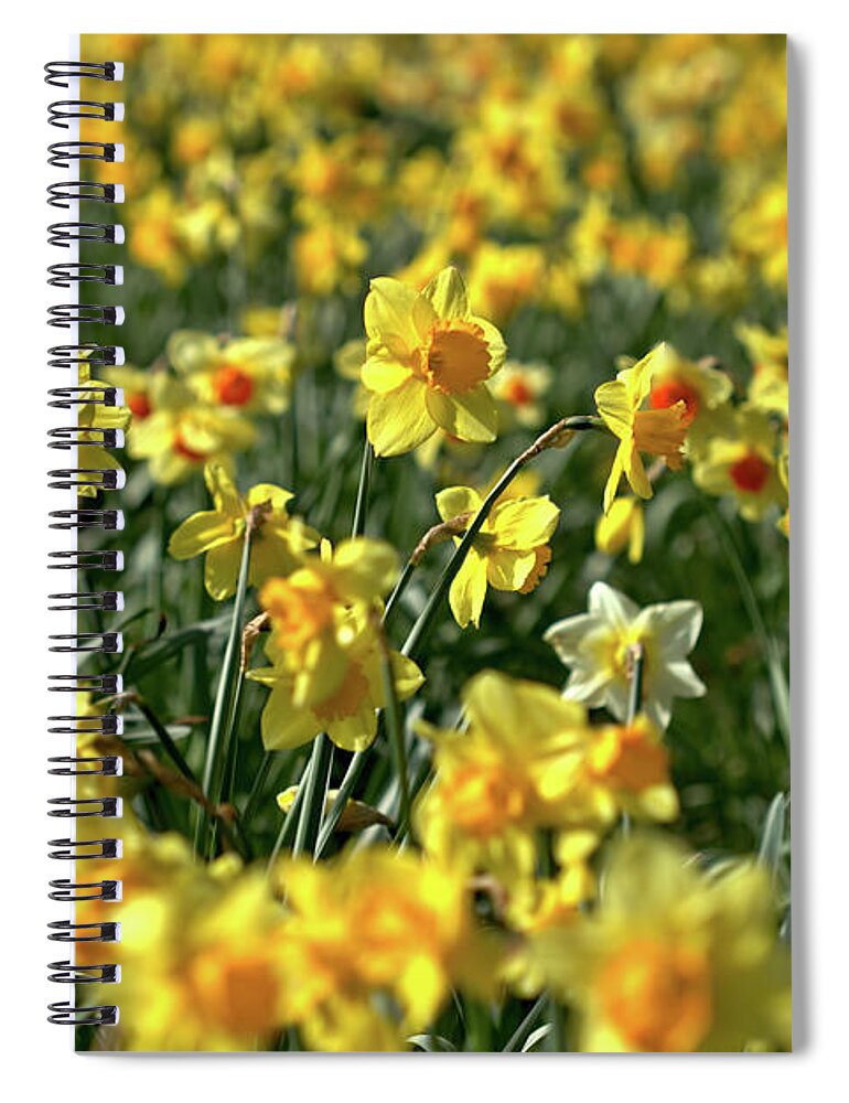 Flower Spiral Notebook featuring the photograph Spring has sprung by Stephen Melia