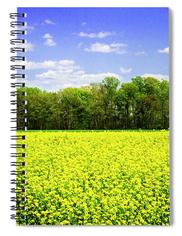 Color Spiral Notebook featuring the photograph Spring in the Field by Alan Hausenflock