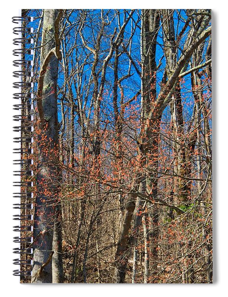 Nature Spiral Notebook featuring the photograph Spring in the Mountains by Judy Cuddehe