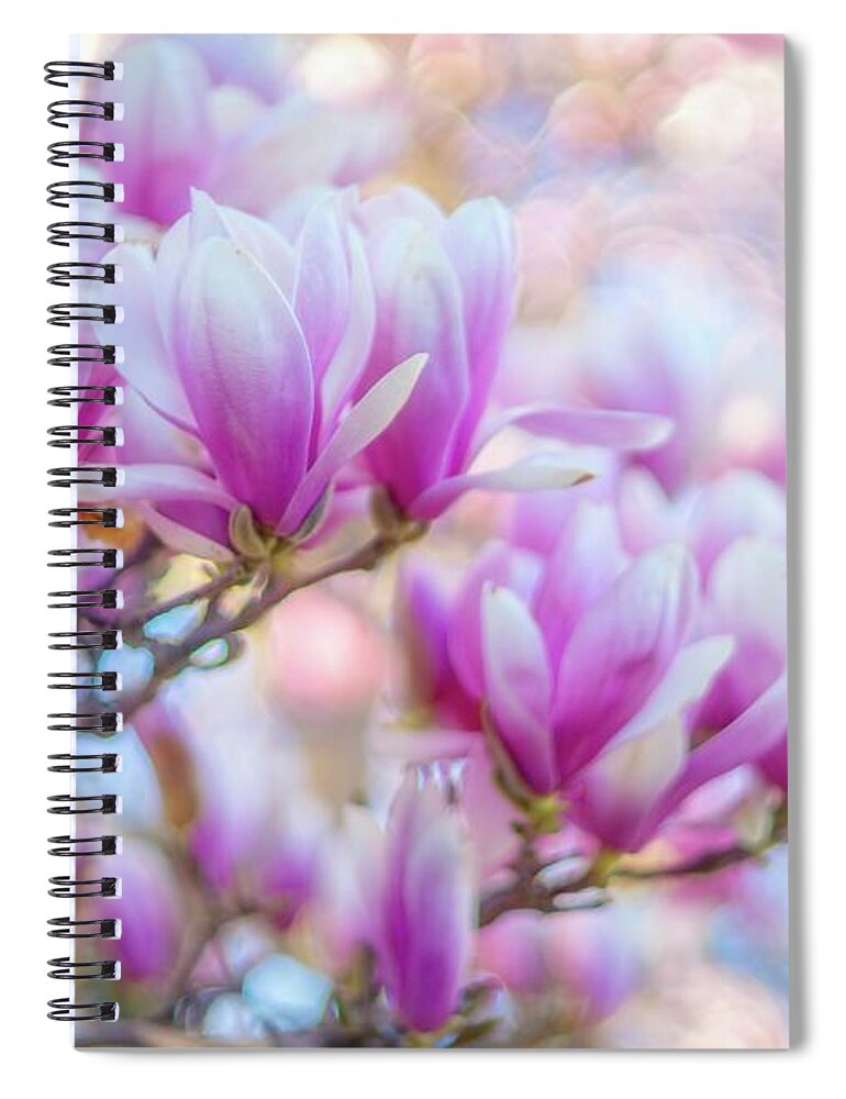 Spring Spiral Notebook featuring the photograph Spring Magnolia by June Marie Sobrito