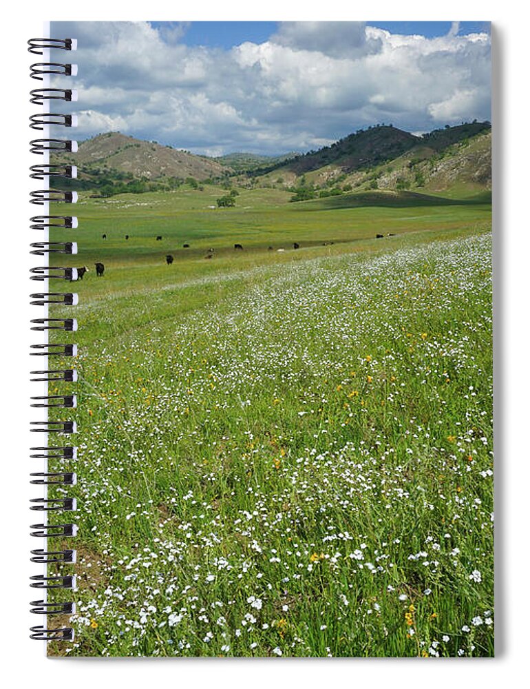 Wildflowers Spiral Notebook featuring the photograph Spring On The Ranch by Brett Harvey