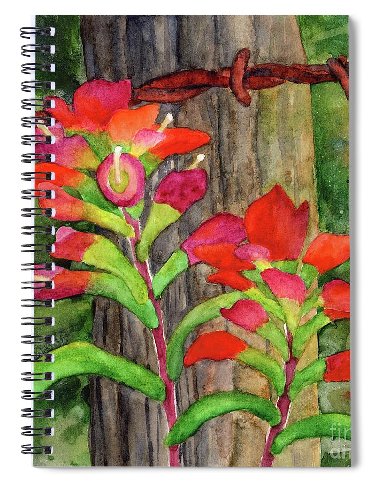  Spiral Notebook featuring the painting Spring Red-Indian Paintbrush by Hailey E Herrera