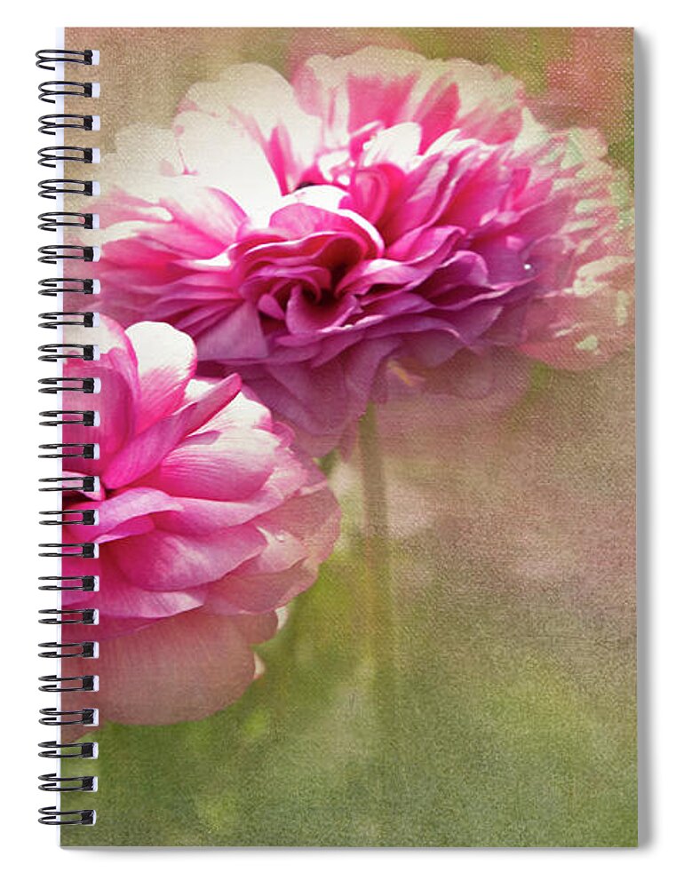 Ranunculus Spiral Notebook featuring the photograph Spring Sisters by Marilyn Cornwell