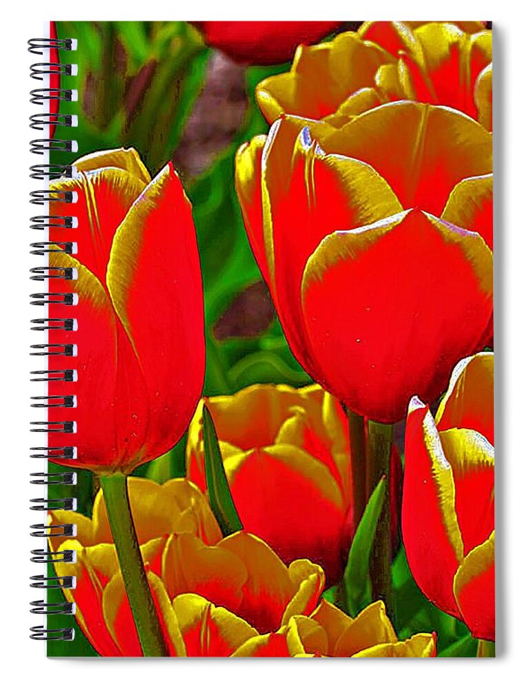 Flowers Spiral Notebook featuring the photograph Spring by Steve Warnstaff