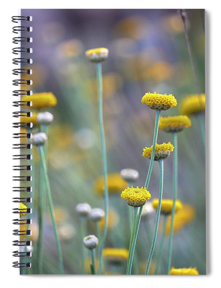 Color Spiral Notebook featuring the photograph Spring time. Happy Valley by Guido Montanes Castillo