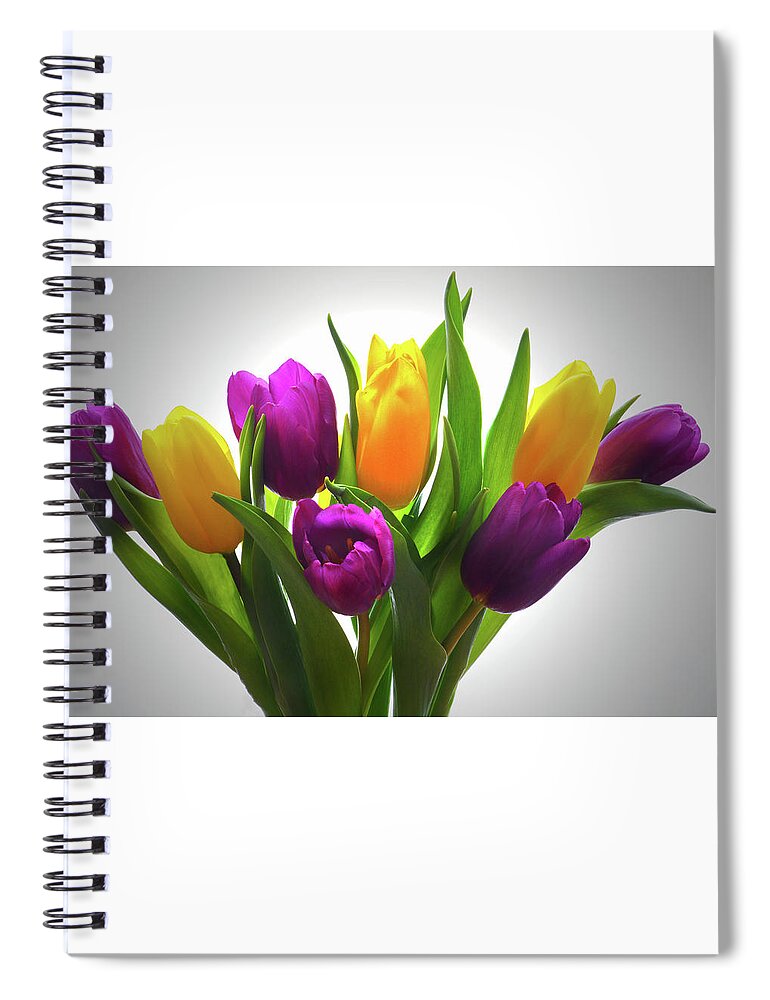 Tulips Spiral Notebook featuring the photograph Spring Tulips by Terence Davis