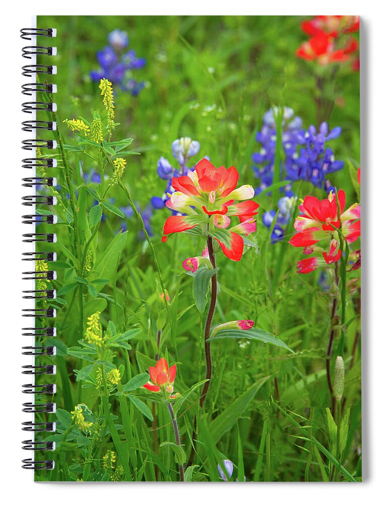 Texas Wildflowers Spiral Notebook featuring the photograph Spring's Soothing Balm by Lynn Bauer