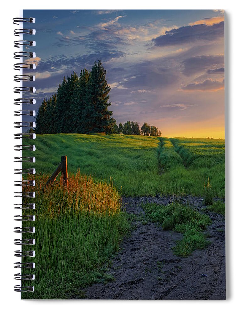 Landscape Spiral Notebook featuring the photograph Springtime and everything is coming up green by Dan Jurak