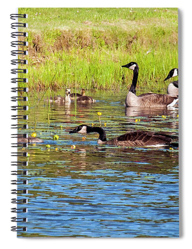 Geese Spiral Notebook featuring the photograph Springtime At The Pond by Cathy Kovarik