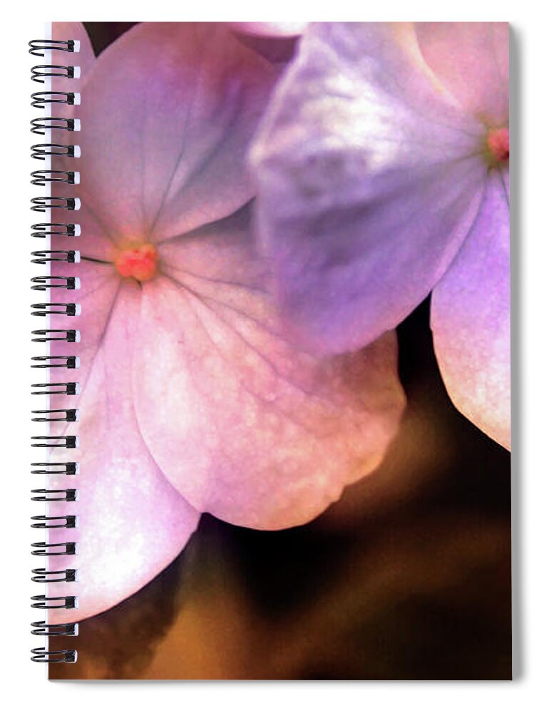 Spring Spiral Notebook featuring the photograph Springtime flowering hydrangeas by Michael Rock
