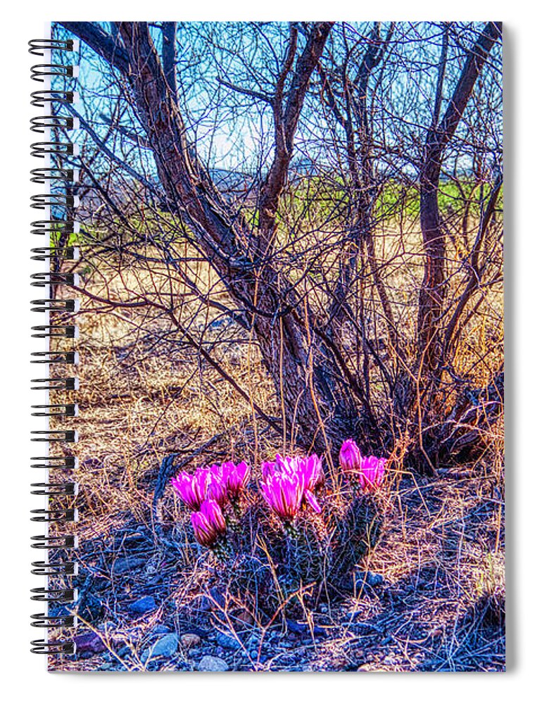 Springtine Spiral Notebook featuring the photograph Springtime in Arizona by Tatiana Travelways