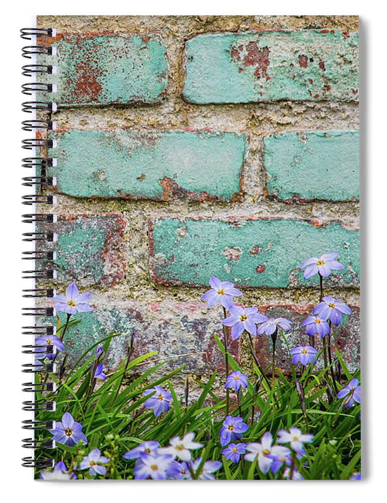Phoebus Spiral Notebook featuring the photograph Springtime in Phoebus 2021 by Cyndi Goetcheus Sarfan