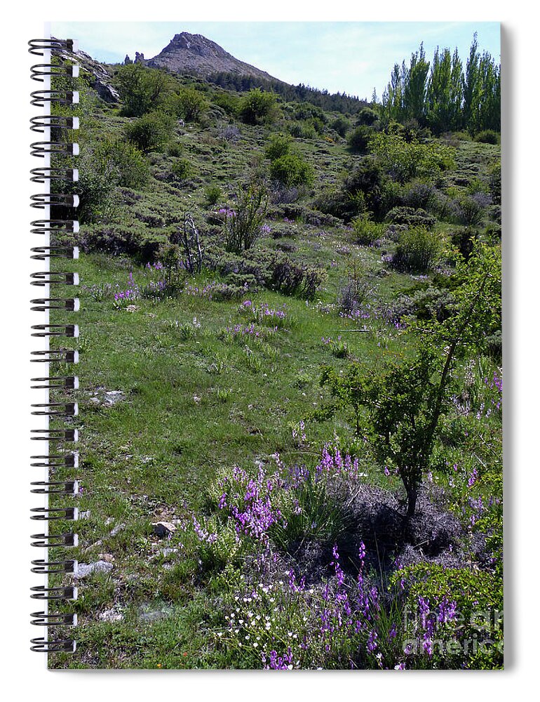 Springtime Spiral Notebook featuring the photograph Springtime in the Sierra Nevada - Spain by Phil Banks