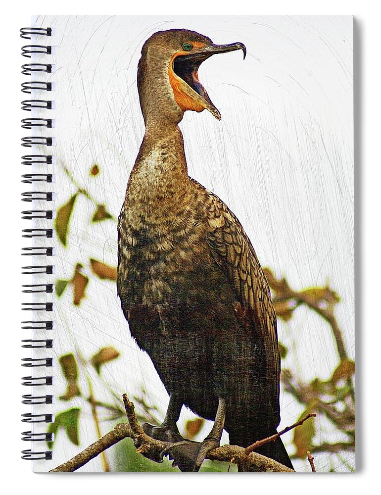 Bird Spiral Notebook featuring the photograph Squawk Neck by Marty Koch