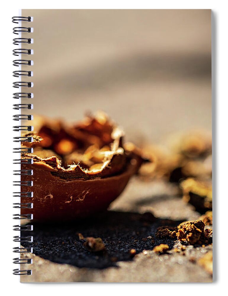 Nature Spiral Notebook featuring the photograph Squirrel Lunch by Amelia Pearn