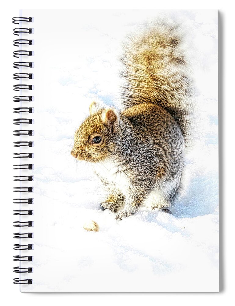 Squirrel Spiral Notebook featuring the photograph Squirrel on white snow by Tatiana Travelways
