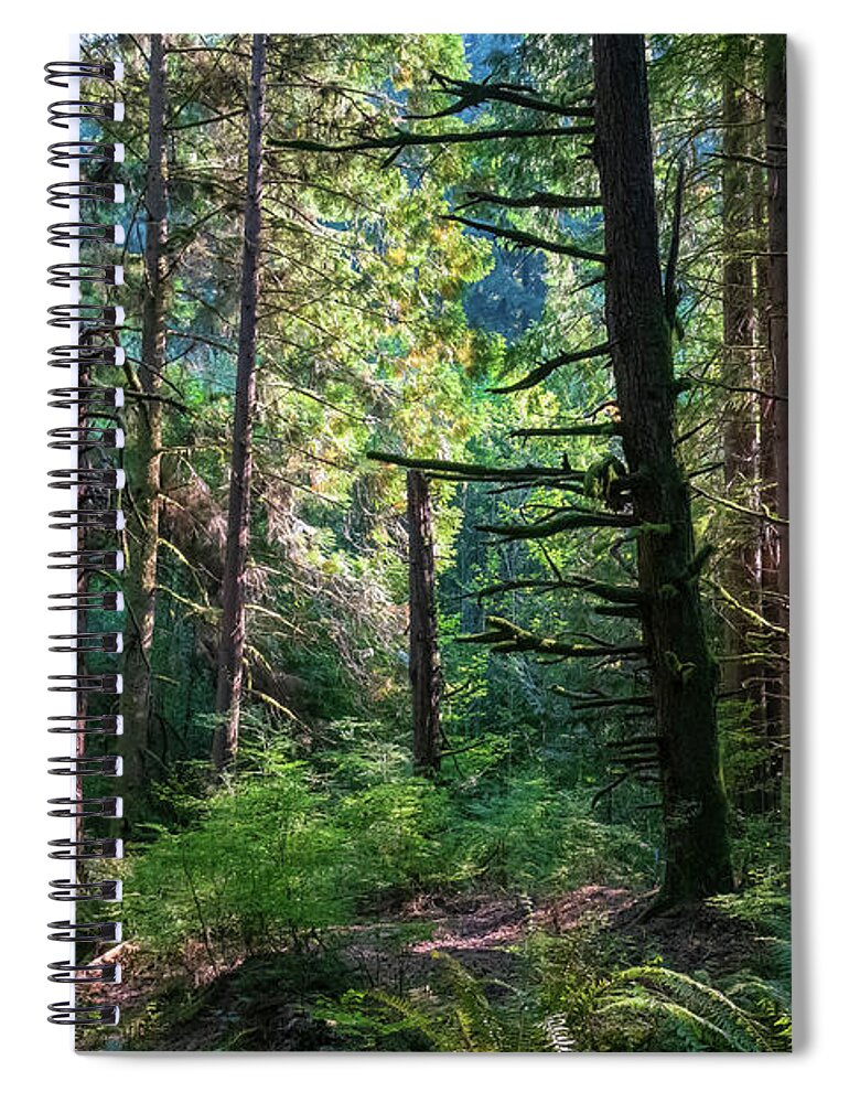 Redmond Watershed Preserve Spiral Notebook featuring the photograph Squirrel Trail II-2022.10.1 by Larey McDaniel
