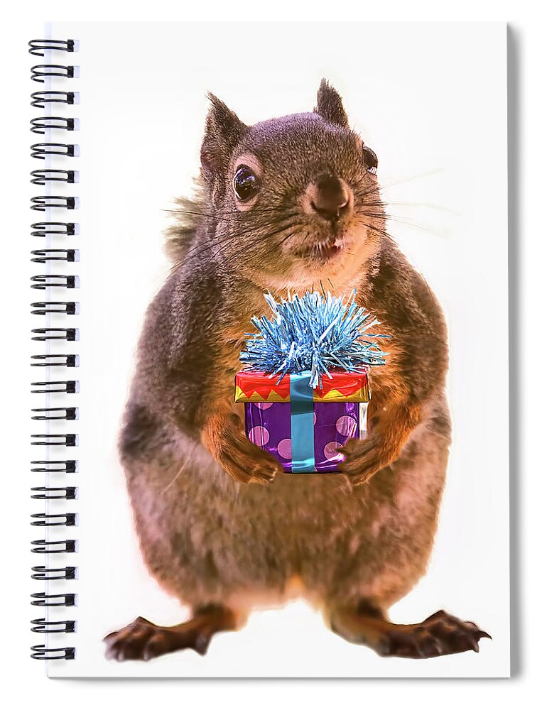 Squirrels Spiral Notebook featuring the digital art Squirrel with Gift - Square by Peggy Collins