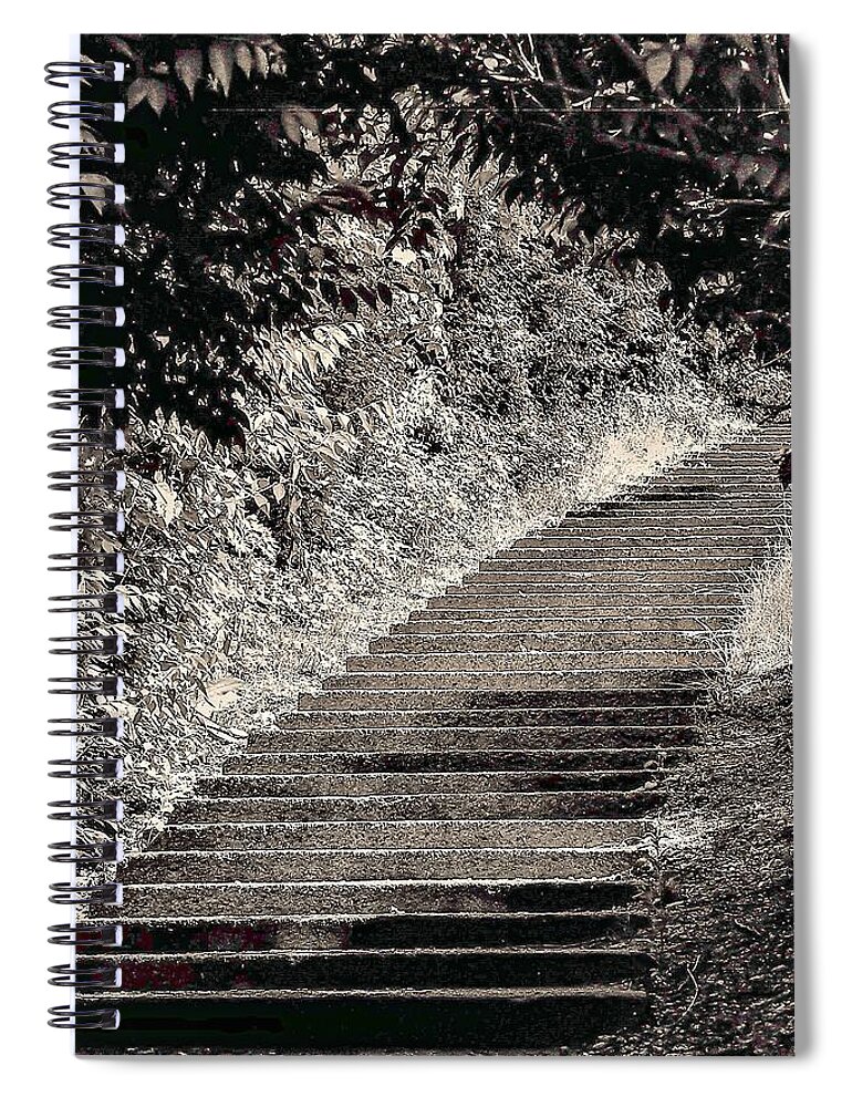 Stairs B&w Outdoors Bushes Spiral Notebook featuring the photograph Stairs1 by John Linnemeyer