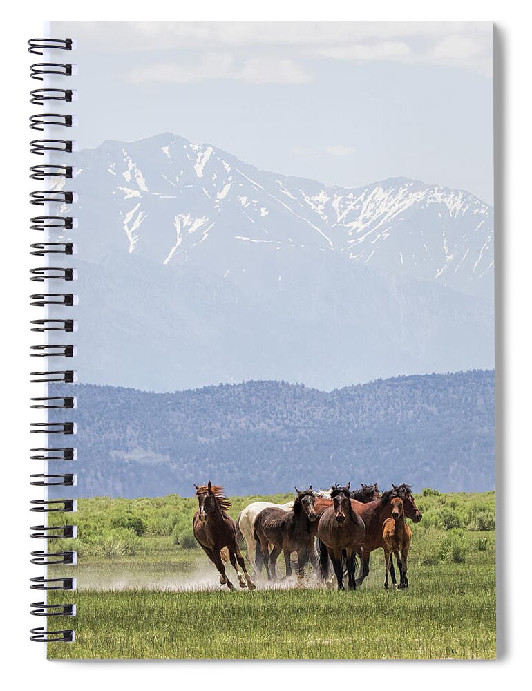 Eastern Sierra Spiral Notebook featuring the photograph Stampede by Cheryl Strahl