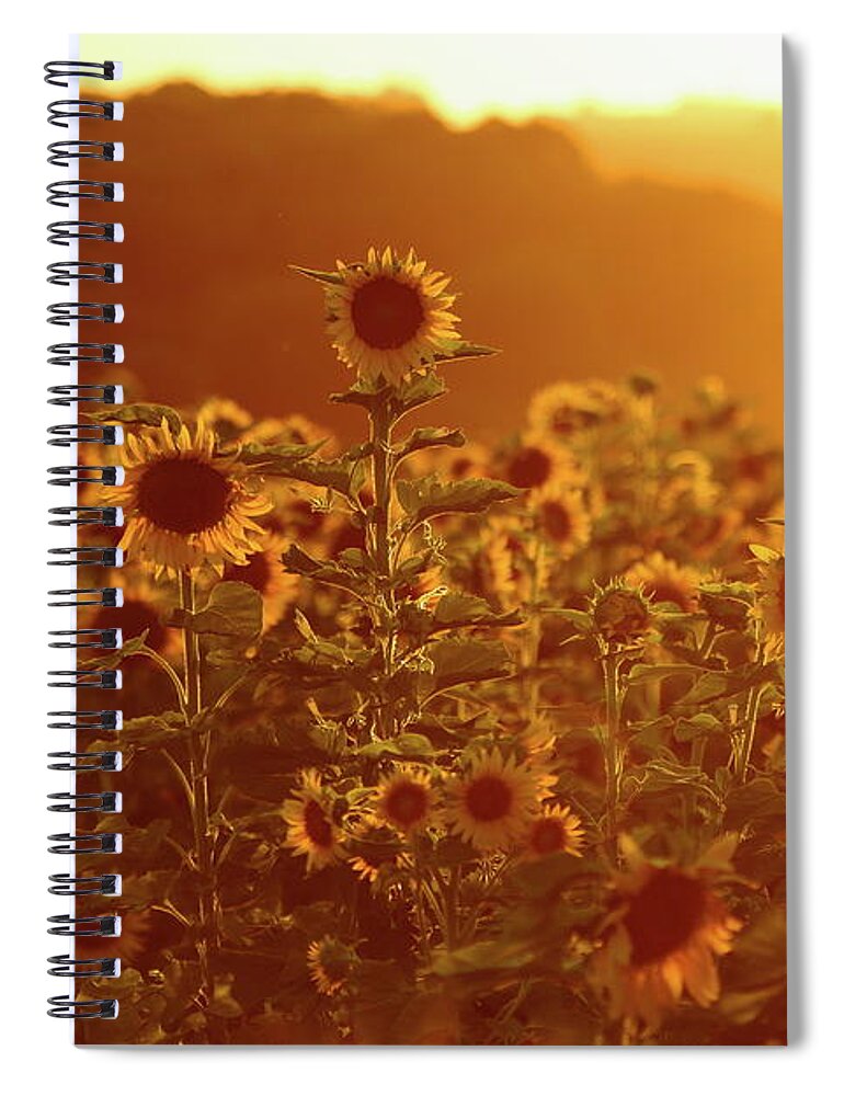 Summer Spiral Notebook featuring the photograph Stand Above The Crowd by Lens Art Photography By Larry Trager