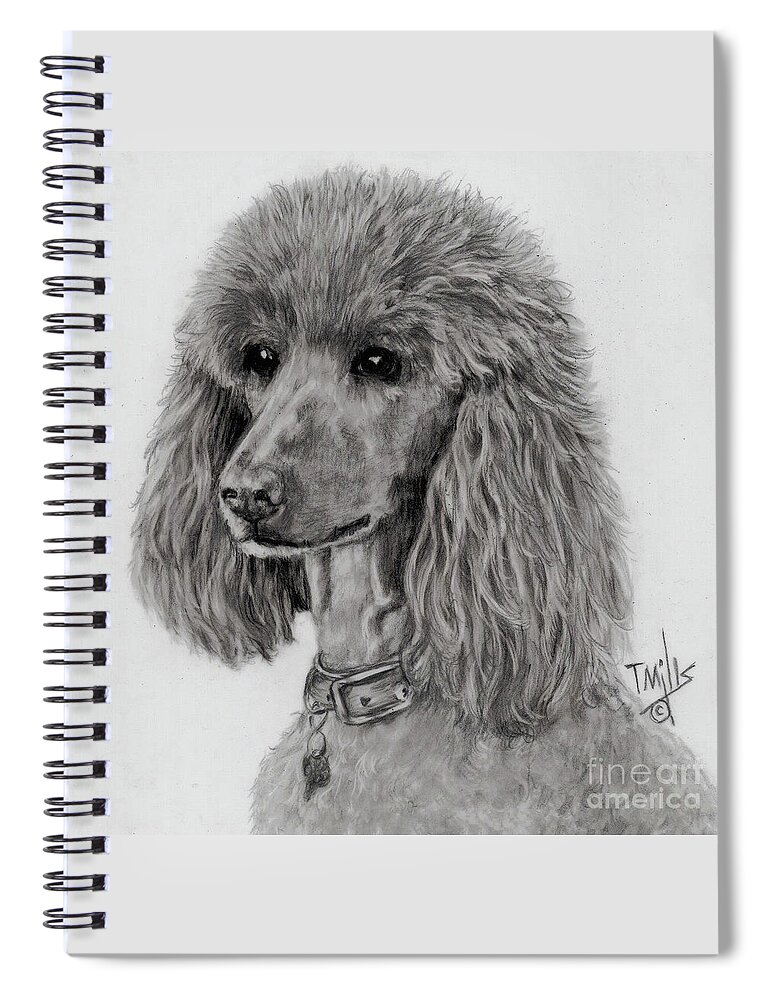 Dog Spiral Notebook featuring the drawing Standard Poodle 01 by Terri Mills