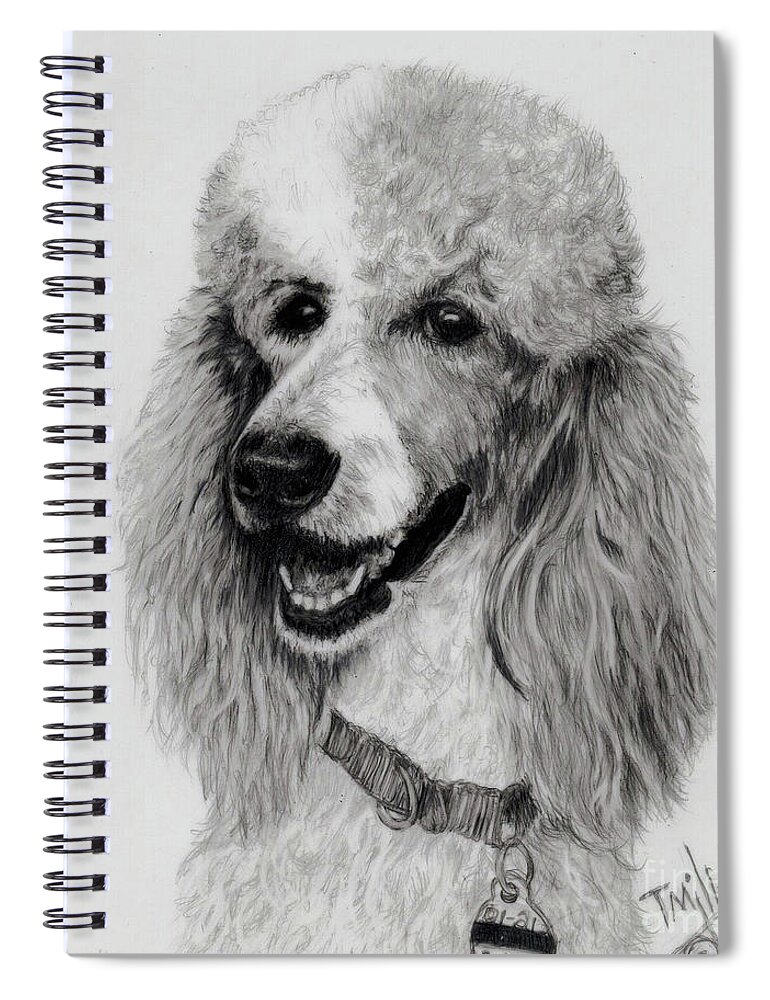 Dog Spiral Notebook featuring the drawing Standard Poodle 3 by Terri Mills