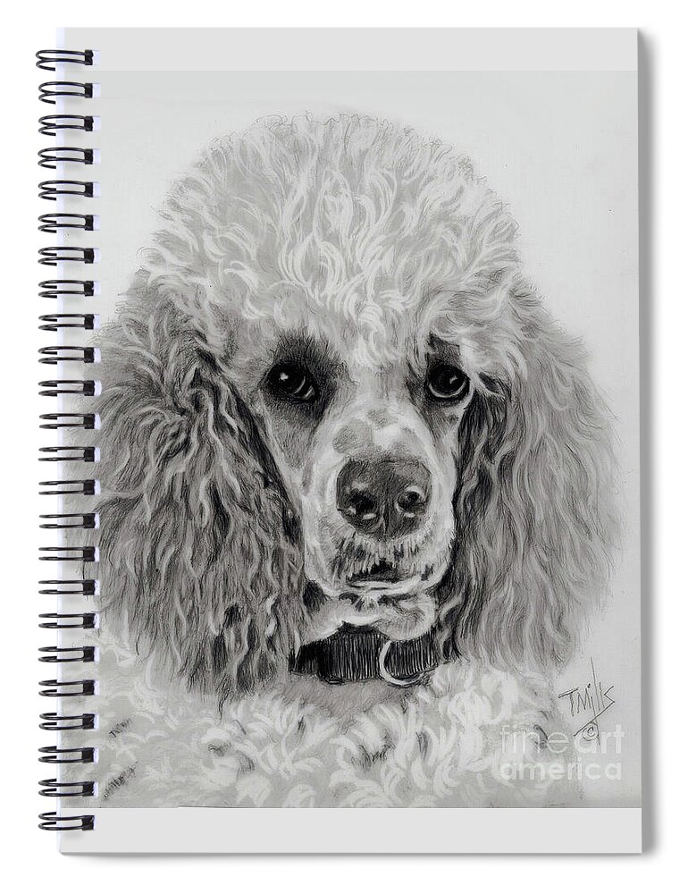 Dog Spiral Notebook featuring the drawing Standard Poodle 4 by Terri Mills