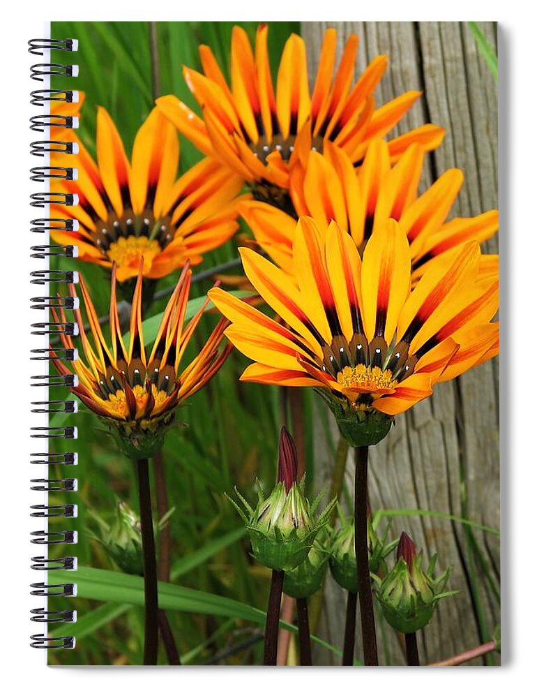 Daisy Spiral Notebook featuring the photograph Standing to Attention by Joan Stratton