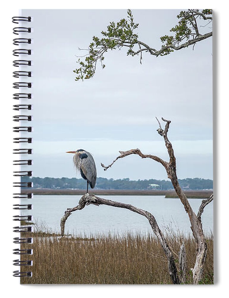 Pinckney Island Spiral Notebook featuring the photograph Standing Watch by Cindy Robinson