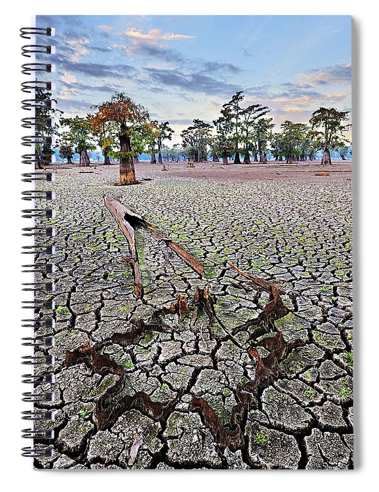 Atchafalaya Basin Spiral Notebook featuring the photograph Star of the Show by Andy Crawford