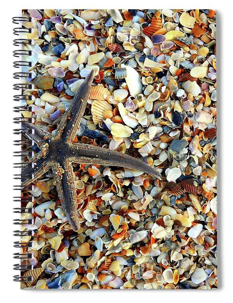 Starfish Spiral Notebook featuring the photograph Starfish on the Beach by Rod Seel