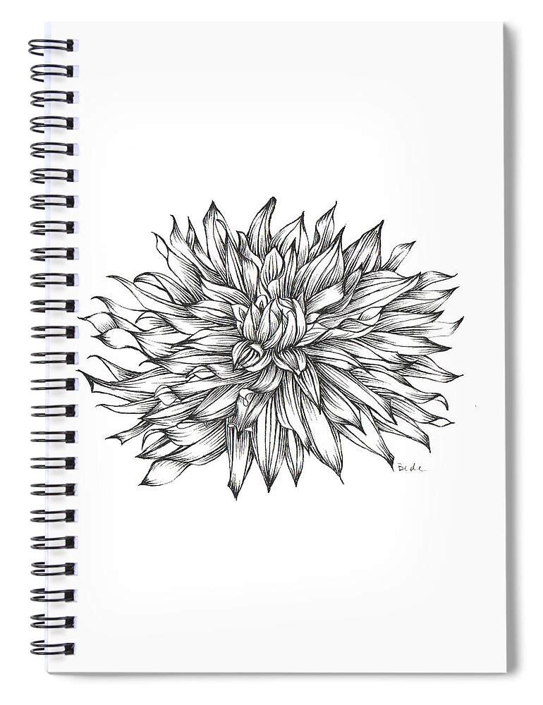 Ink Paper Drawing Illustration Dahlia Black White Spiral Notebook featuring the drawing Starlight and Dahlias by Catherine Bede