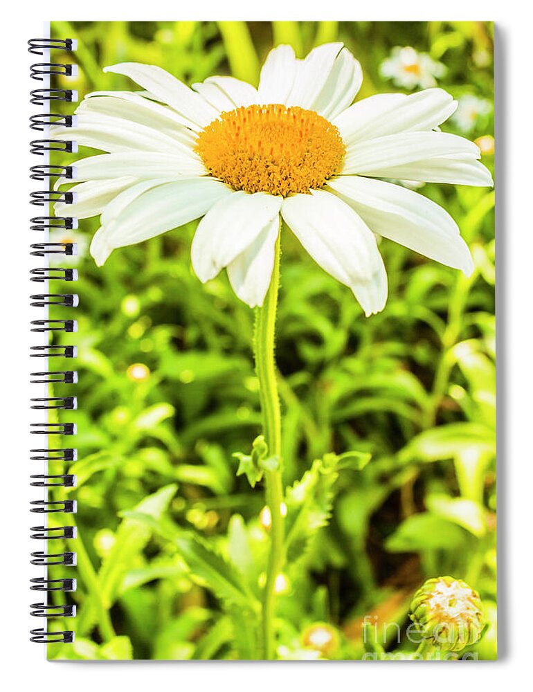 Flower Spiral Notebook featuring the photograph Stemming meadows by Jorgo Photography