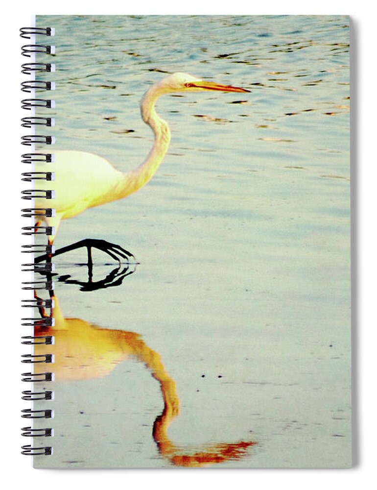 Egret Spiral Notebook featuring the photograph Stepping Out by Hilda Wagner