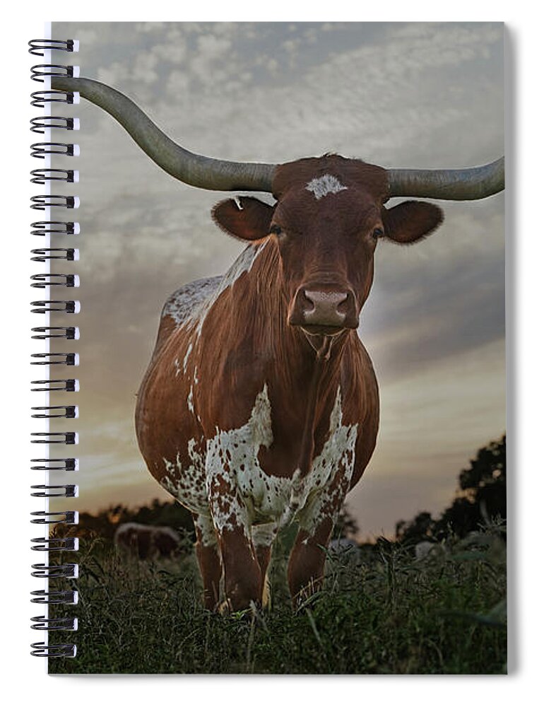 Texas Spiral Notebook featuring the photograph Sterling, the longhorn cow by Cathy Valle