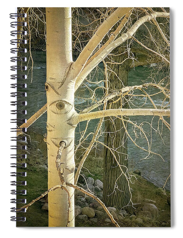 Tree Spiral Notebook featuring the photograph Stick Man by Mary Lee Dereske