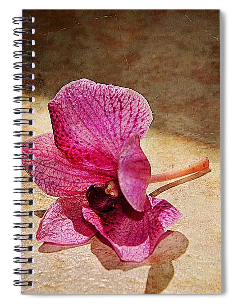 Meaningful Spiral Notebook featuring the photograph Still beautiful by Ramona Matei