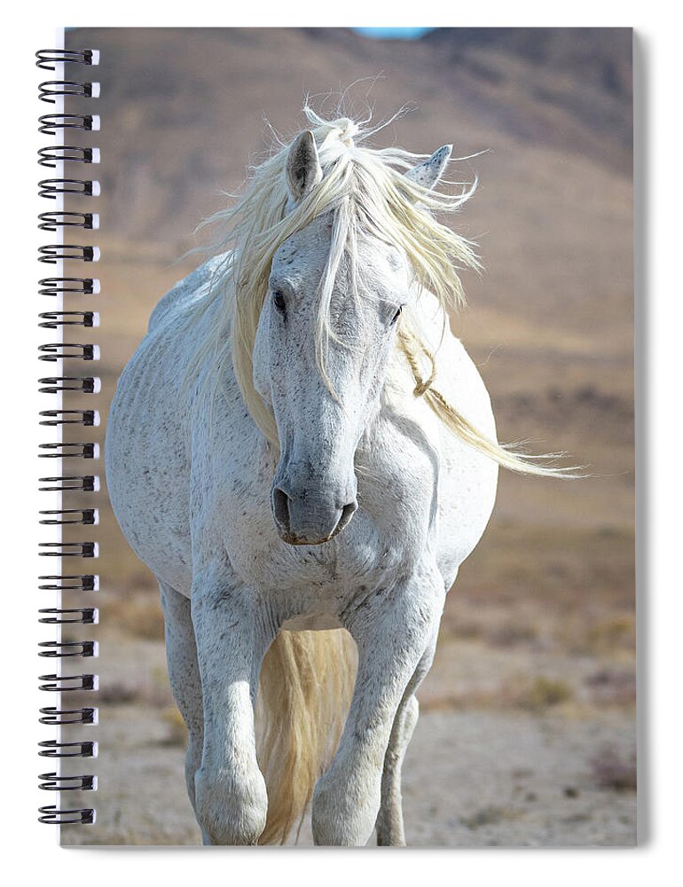 Wild Horses Spiral Notebook featuring the photograph Still Got It by Mary Hone