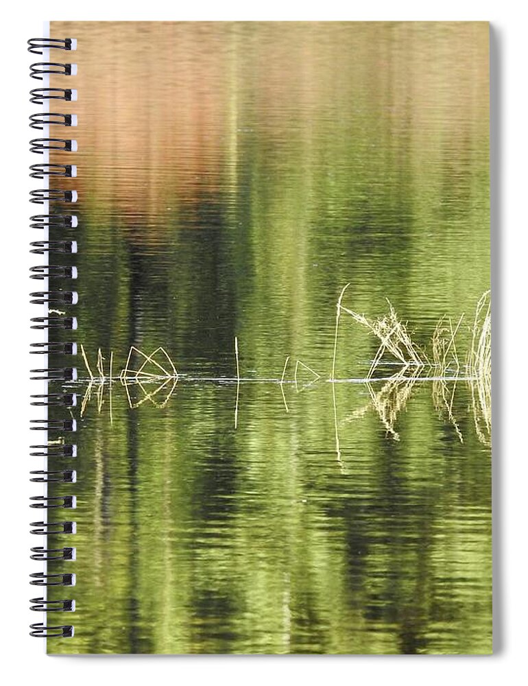 Water Spiral Notebook featuring the photograph Stillness by Nicola Finch