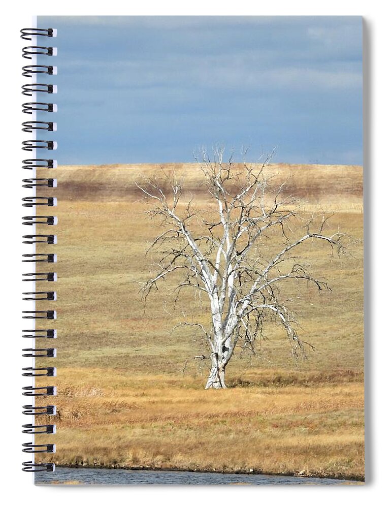 Tree Spiral Notebook featuring the photograph Stock Dam And Old Tree by Amanda R Wright