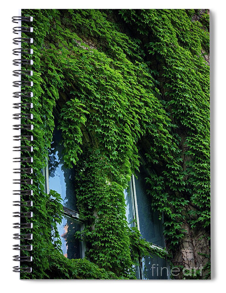 Window Spiral Notebook featuring the photograph Stone wall and high windows covered in vines and ivy by Mendelex Photography