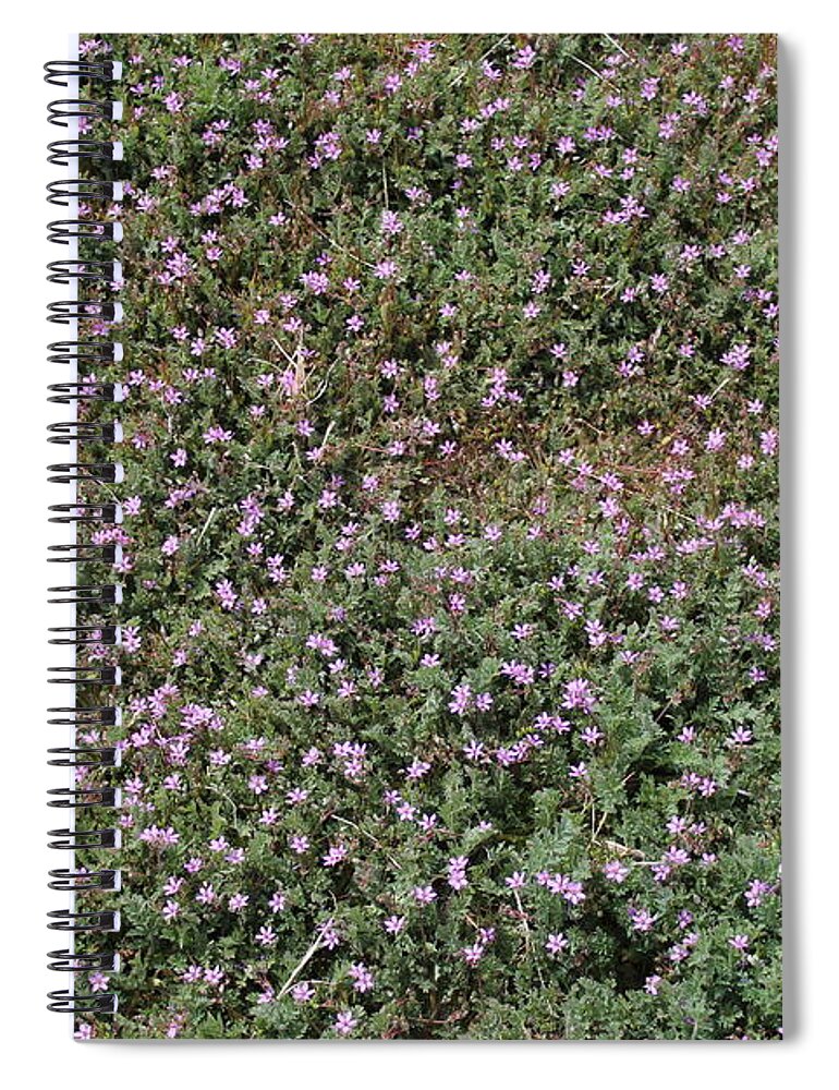 Purple Spiral Notebook featuring the photograph Storksbill by Doug Miller