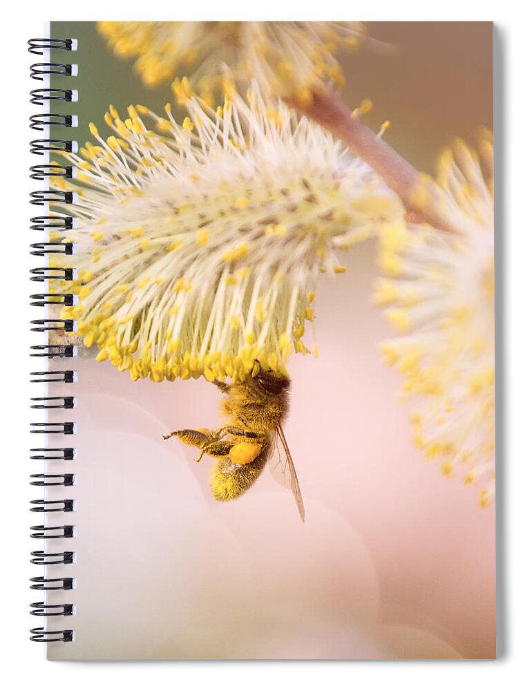 Spring Spiral Notebook featuring the photograph Story Of The Spring by Jaroslav Buna